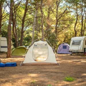 View of tent in camp ground in the middle of pine forest.